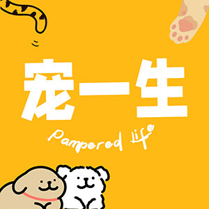 宠一生宠物医疗企业店