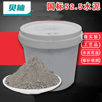 Rice Master Cement Silicate po52 5 Experiment High Label 525 Waterproof Tonic Loophole Fast Hard Early Strong Speed Dry Cement