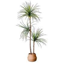 Juhan light luxury simulated green plant agave fake tree thousand-year-old wood plant potted indoor living room decoration floor-standing bonsai