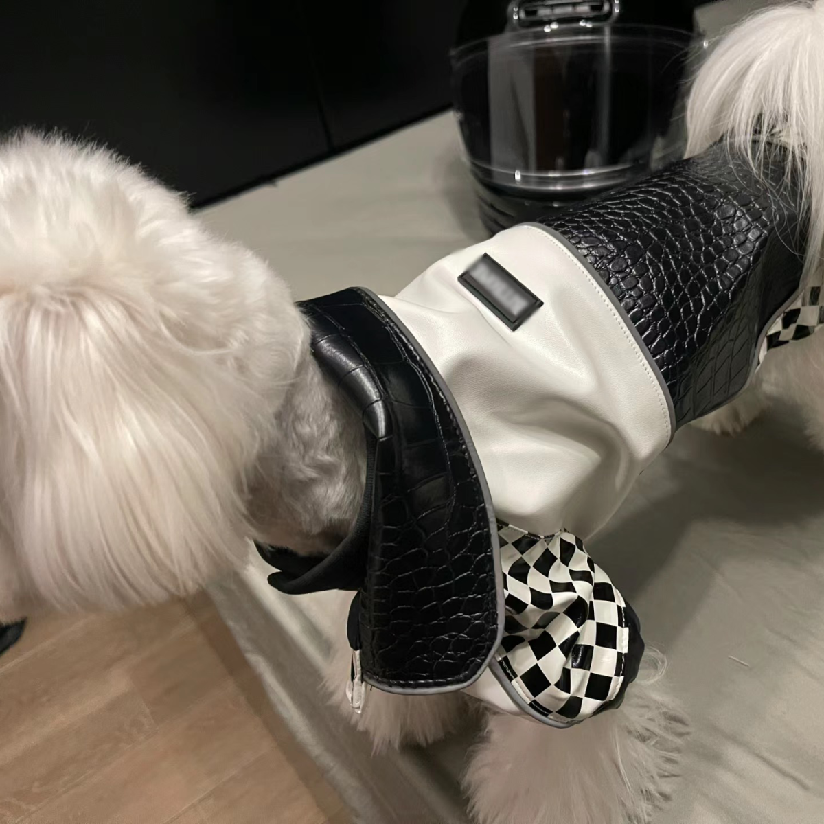 Одежда для животных 防寒帅气【机车风】宠物猫咪狗狗衣服秋冬新款内外搭配保暖夹克 Strange pets