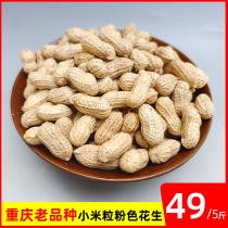 Chongqing Shichu specialty farmers self-produced old varieties of peanuts new products with Shell dry raw peanuts 5kg small grain raw peanuts