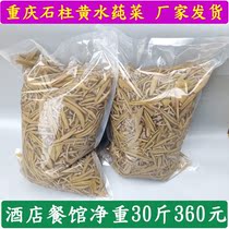 Chongqing Shichu Specialty yellow water fresh Braschia pure cabbage restaurant hotel suitable for 30kg factory delivery