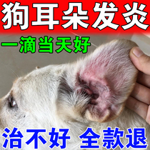 Pooch Ear Inflammation Medicine Middle Ear Inflammation Special Pet Ear Mites Fungus Infection Flow Abcess Cleansing Anti-Itch