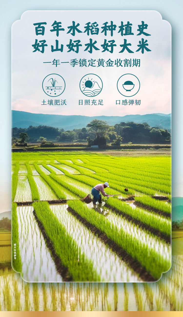 安享好物 安享D级粳米-福临门皇宗贡稻长粒香 国标 