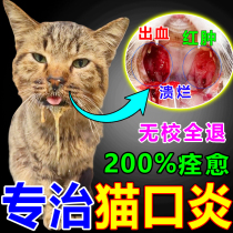 Special medicine for cats with stomatitis bad mouth and drooling for cats anti-inflammatory spray for treating bad mouth and ulcers red and swollen gums