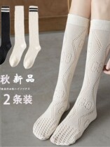 Web spring spring and autumn thin diamond shape British wind hollow jk medium-sized stockings in white calf socks