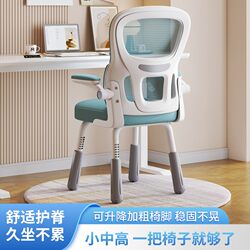 Computer Chair for Writing, Special Stool for Primary and Secondary School Students, Children's Study Chair, Desk with Adjustable Backrest and Seat
