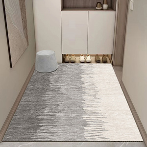 简约高级耐脏地毯进门垫地垫