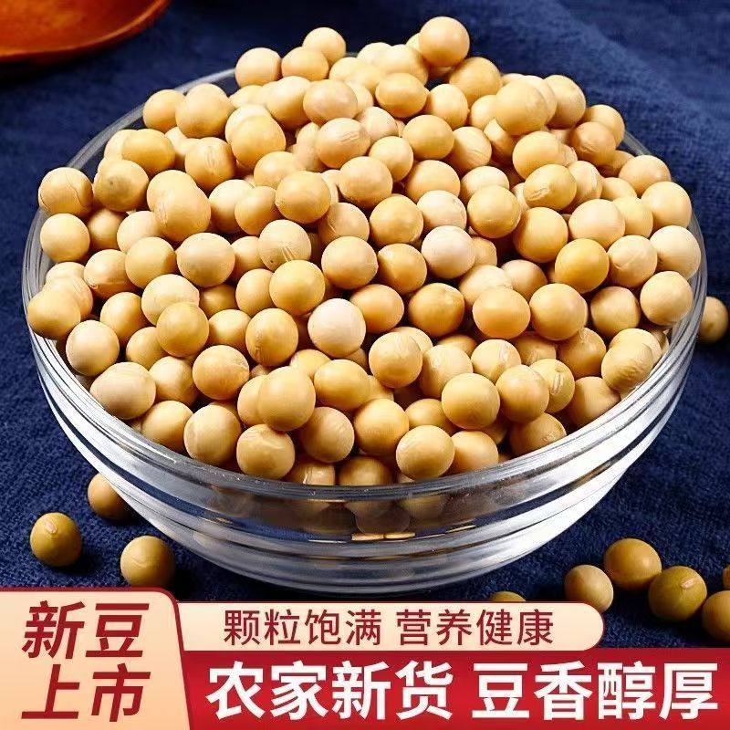 2025东北新大豆：农家质朴的选择