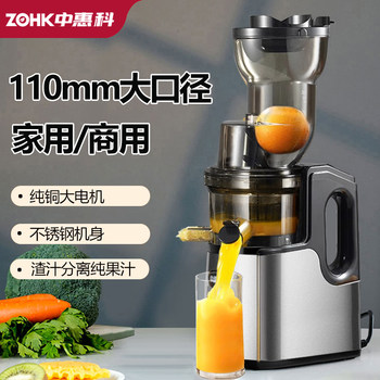 Juicer with Pulp Separation, Fully Automatic, Multifunctional, for Home and Commercial Use, Small Fruit and Vegetable Juicer
