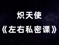 Seraph Left and Right Private 11