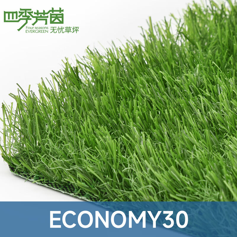 Four Seasons Aromas Simulation Lawn ECONOMY30mm Carpet Artificial Fake Turf Artificial Kindergarten Outdoor Laying-Taobao