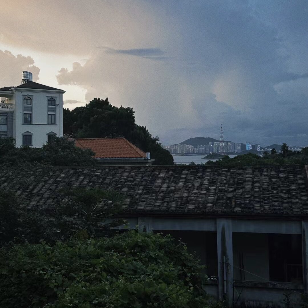 树上幻想家