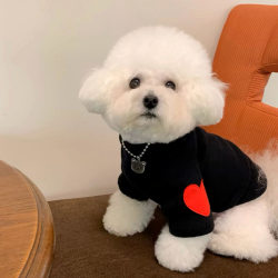 Gdmn New Spring and Autumn Style Teddy Bear and Bichon Puppy Clothes, Black Cute Pet Maltese Small Dog Clothes