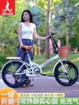 (Hong Kong free shipping) Phoenix folding bicycle womens portable adult ultra-light womens bicycle work scooter