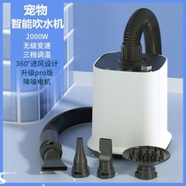 Hair dryer for cats household high-power silent hair dryer large dog bathing quick-drying hair dryer