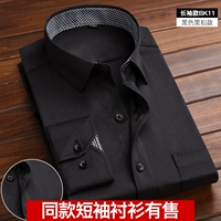 Длинно -слис BK11