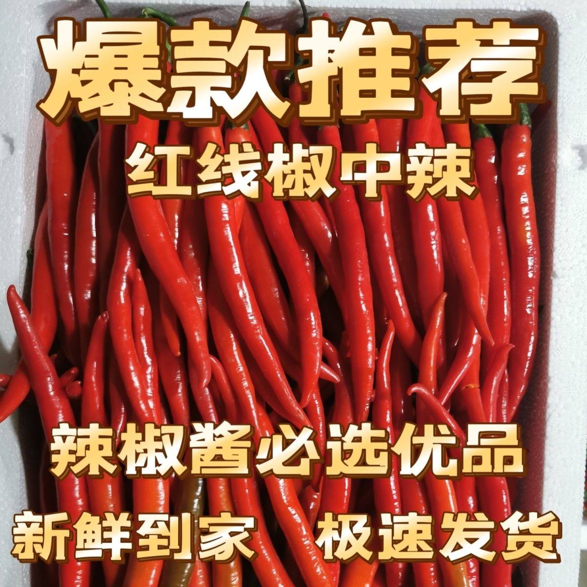 时尚界大揭秘！傻子才不穿它？!