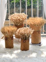 Natural straw woven flower baskets seagrass woven baskets vase flower pots barley ears reeds dried flowers pastoral style decorative ornaments