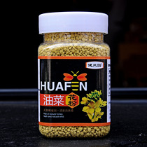 Rapeseed pollen farm-produced edible bee pollen
