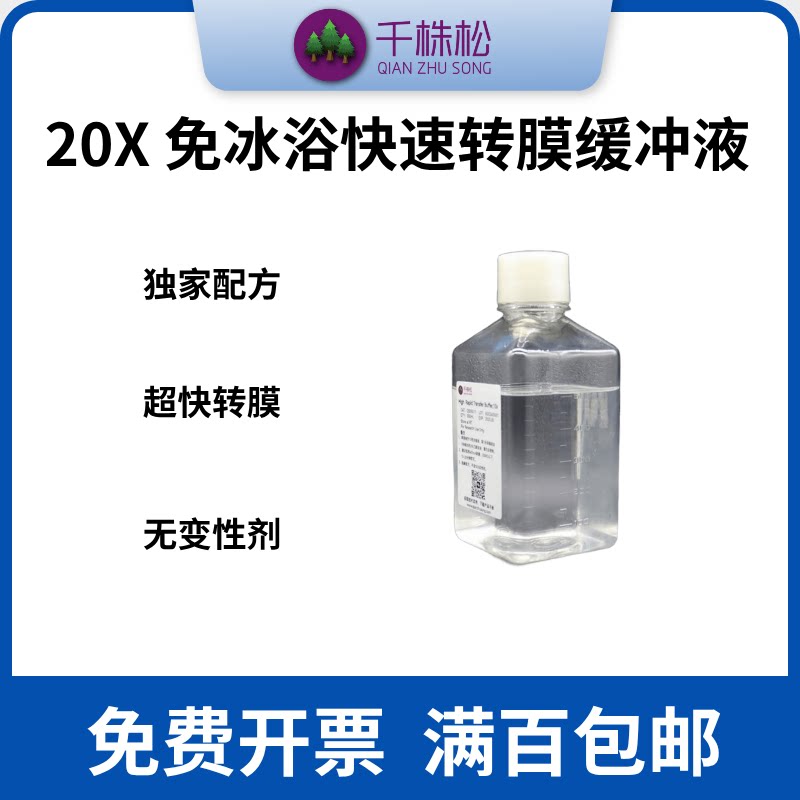独家配方 免冰浴快速转膜缓冲液  WB湿转 无SDS 20X
