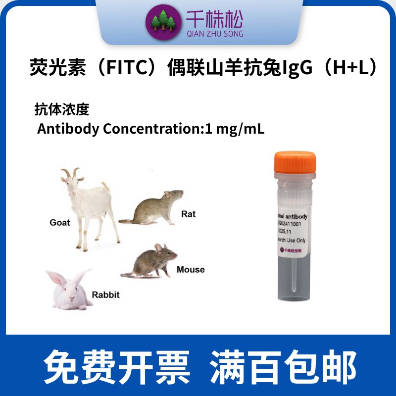 荧光素（FITC）偶联山羊抗兔IgG（H+L）WB实验抗体试剂一抗二抗
