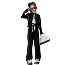 Girl Suit Spring Dress 2024 New Children Foreign Air Casual Sports Zipped Shirts Women Great Boy Spring Autumn and two sets