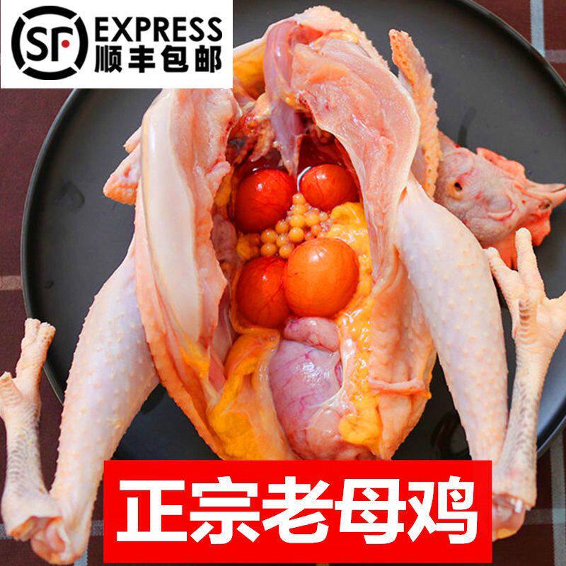 为什么说2只超大老母鸡是正宗3年土鸡，它们有什么特别之处？-整鸡整鸡制品-淘宝好物网