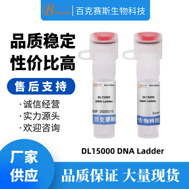 DL15000 DNA Ladder 分子生物学试剂 实验科研用试剂
