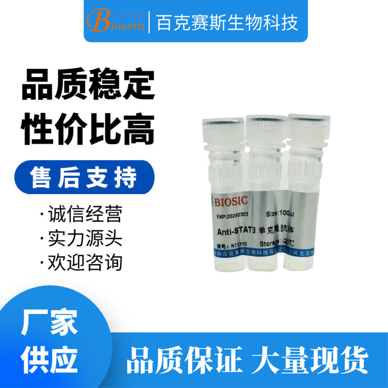 Anti-STAT3 Monoclonal antibody 实验用单克隆抗体百克赛斯生物