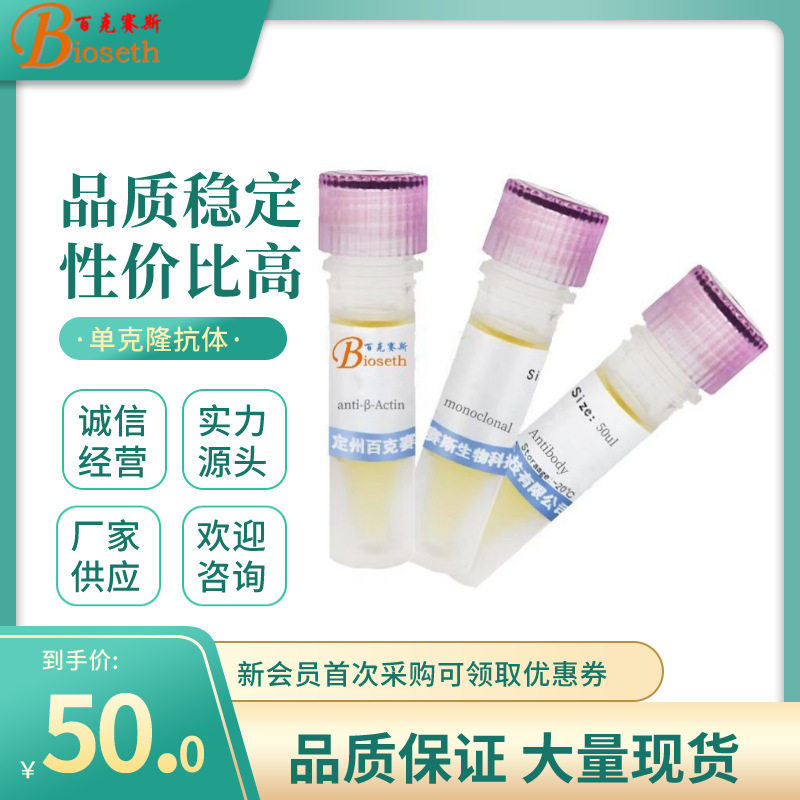 Anti-&beta;-Actin monoclonal Antibody 实验单克隆抗体百克赛斯生物