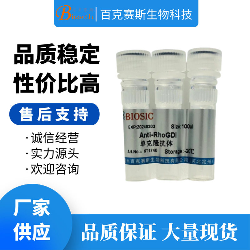 Anti-RhoGDI Monoclonal antibody 实验用单克隆抗体百克赛斯生物