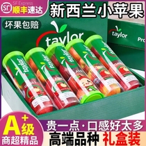 Weight loss fruit New Zealand small apple tube Rockit apple seasonal imported small apple fresh SF gift box