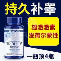 American Testosterone Zinc Magnesium Male Capsules Hormone Supplement Sponge Tribulus Saponin Capsules 120 Guaranteedi