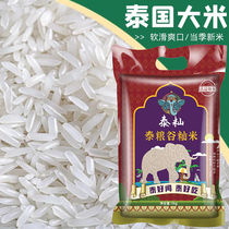 Pinguan Diet Thai rice long-grain fragrant rice raw grain imported indica rice jasmine fragrant rice new rice 5 10 pounds