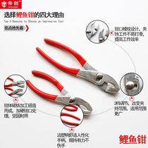 Dichuang Liangluo 8-inch carp pliers pipe pliers pipe repair tools clamping pliers wrench manual hardware
