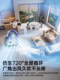 小风扇2025新款电风扇小型家用静音办公室桌面台式夹式壁挂风扇