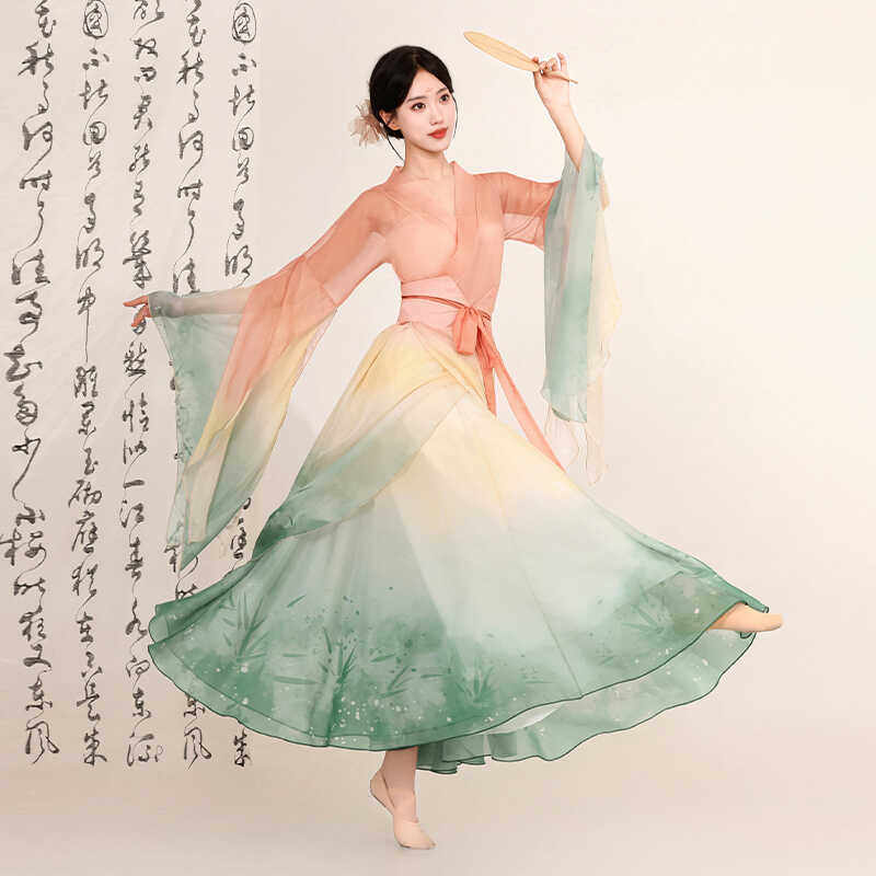 古典舞大袖衫纱衣飘逸仙气中国风舞蹈服女身韵渐变色演出服套装夏