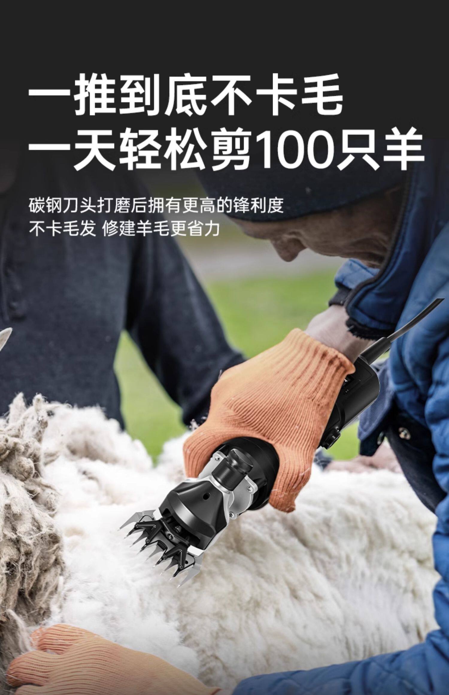 Ножницы None CAMATON