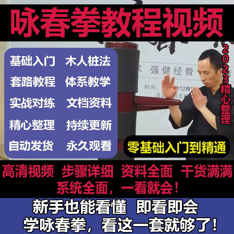 詠春拳影片教程零基礎自學詠春入門木人樁尋橋小念頭武術健身教學