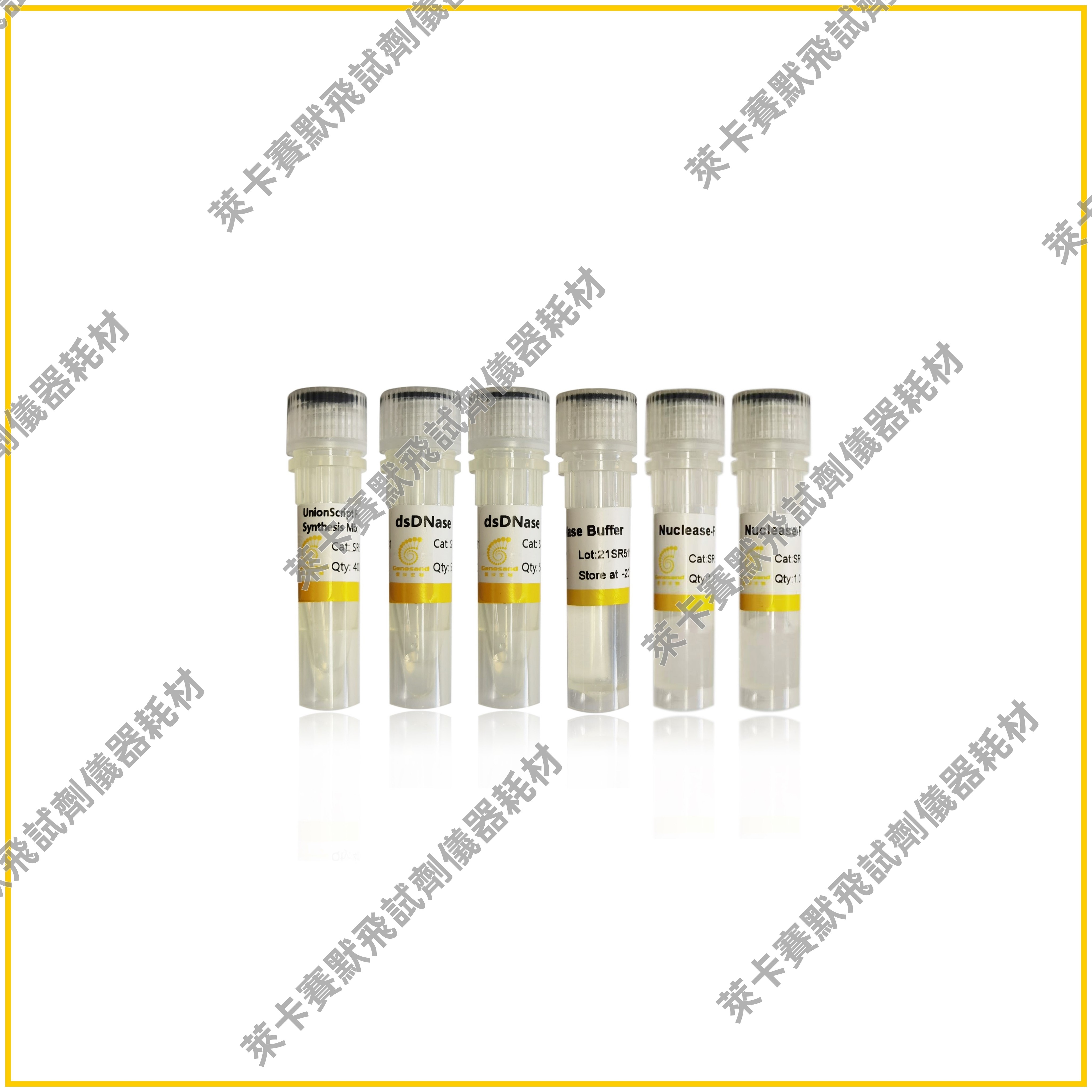 用于qPCR的UnionScript第一链cDNA合成预混液(含dsDNase)快速高效