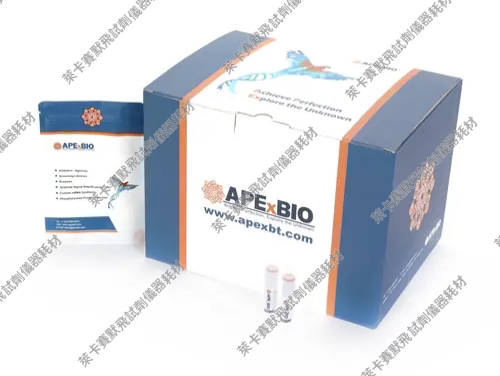 赛默飞/APExBIO/国产His标签彩色预染蛋白Marker通用WB蛋白Marker