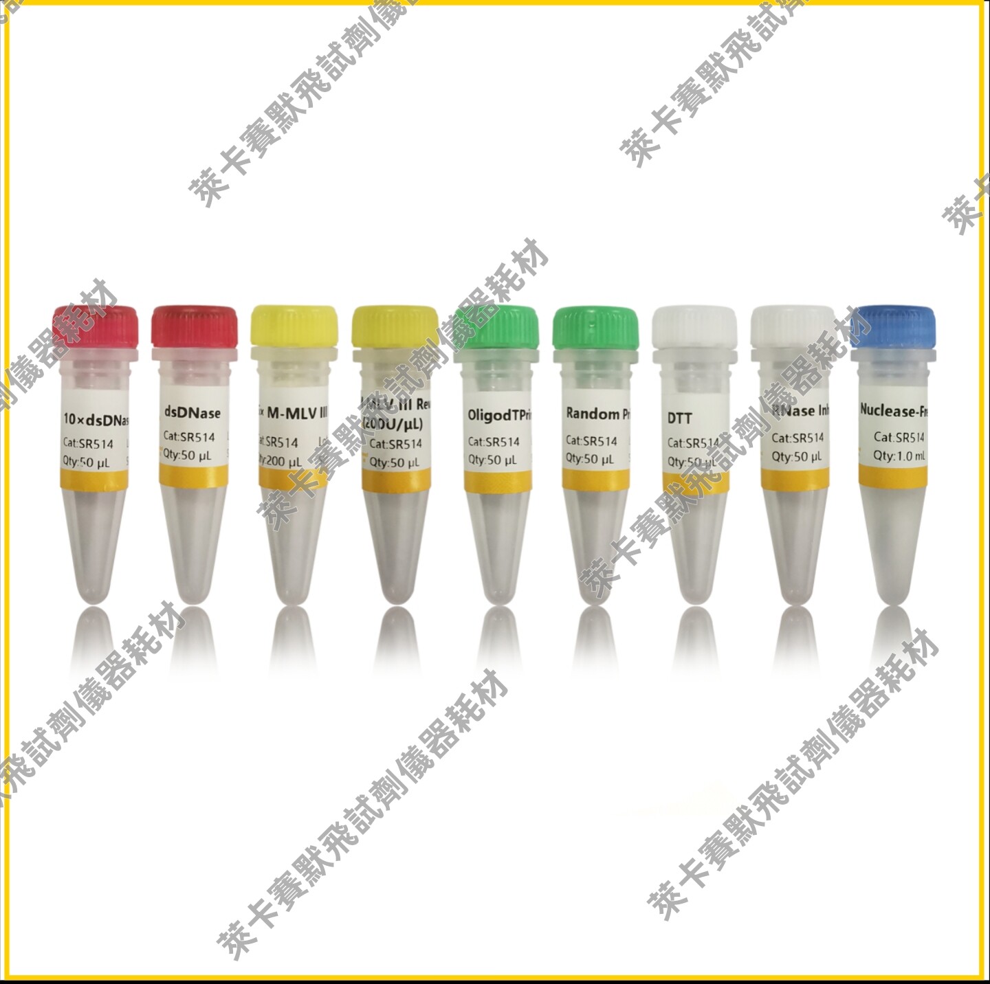 UnionScript第一链cDNA合成试剂盒(含dsDNase) 适用RNA模板/PCR