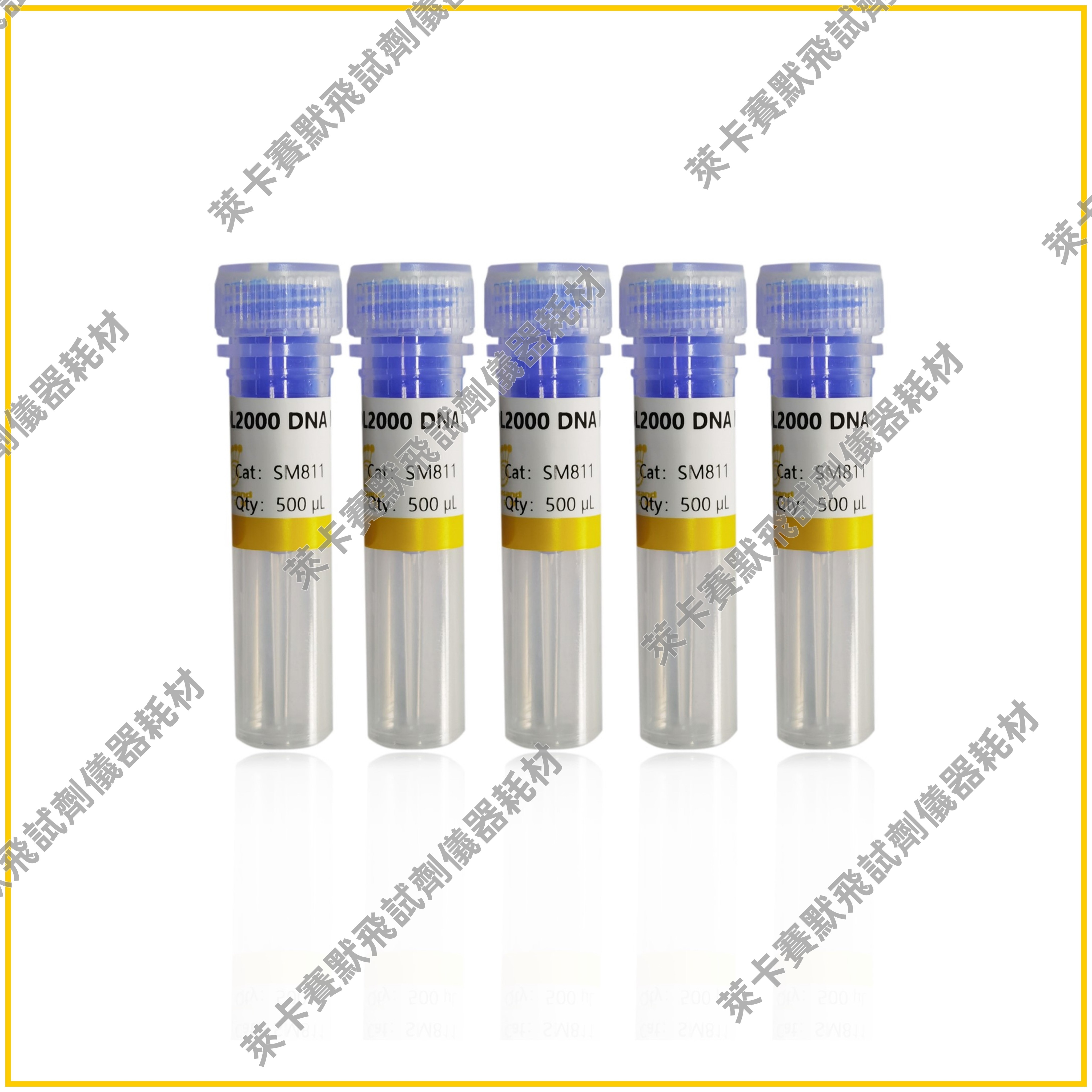 DL2000 DNA Marker，DL5000 DNA Marker 独特研发技术，带型清晰