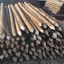 Engineering flood control logs customized landscaping trees river slope protection outdoor larch wood piles piling wood cofferdams