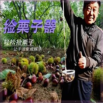 New chestnut picker chestnut picker chestnut artifact picking tool direct sales from the source manufacturer