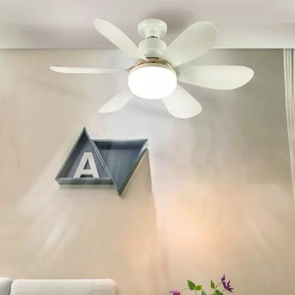 Indoor Ceiling Fan with Light 3000-6500K LED Socket Fan