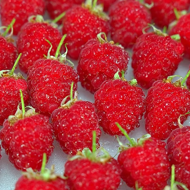 冬天吃覆盆子的相似替代水果推荐?了解这些健康之选