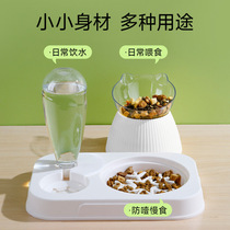 New three-in-one cat feeder automatic water dispenser dog food bowl pet water dispenser non-wet mouth anti-knockover