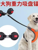 Dog fixed dog bath traction rope and sucking dog sucker large dog pull force to pull 80 kg wall stake